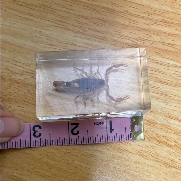 Scorpion Paperweight 🦂 - Picture 10 of 15